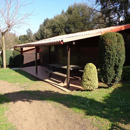 Camping Ecologic Lava Santa Pau Exterior foto